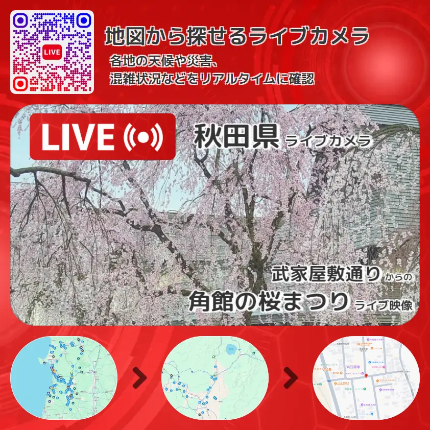 秋田県 「角館の桜まつり」ライブ映像(武家屋敷通り 設置カメラ) ライブカメラ 監視カメラ