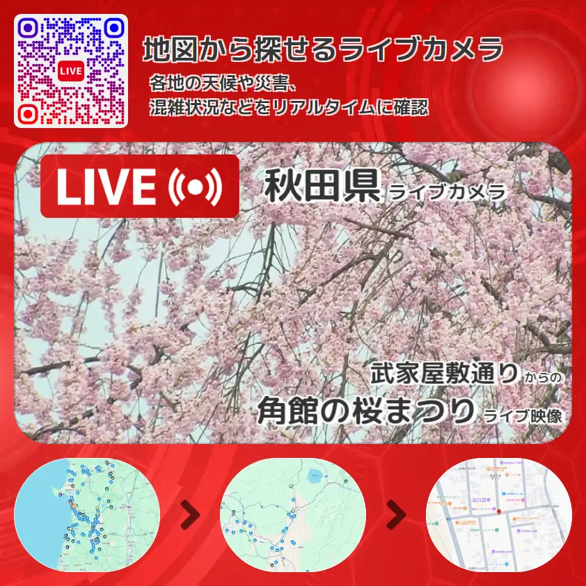 秋田県 「角館の桜まつり」ライブ映像(武家屋敷通り 設置カメラ) ライブカメラ 監視カメラ