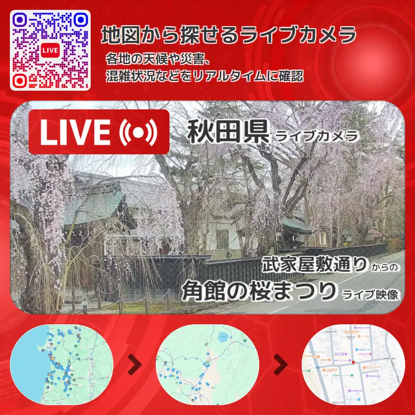 秋田県 「角館の桜まつり」ライブ映像(武家屋敷通り 設置カメラ) ライブカメラ 監視カメラ