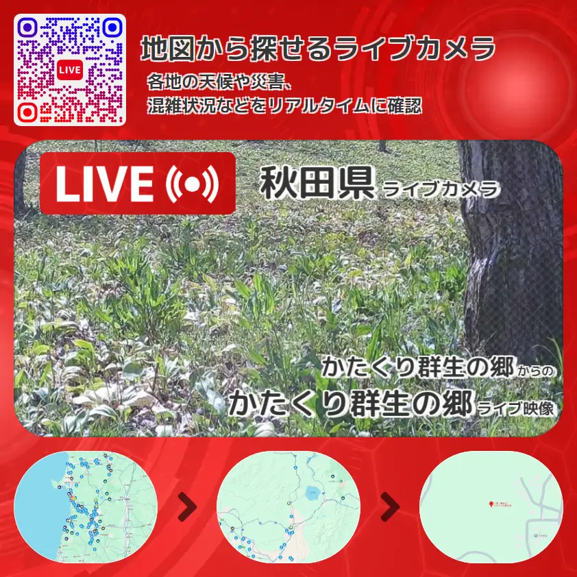 秋田県 「かたくり群生の郷」ライブ映像（かたくり群生の郷 設置カメラ） ライブカメラ 監視カメラ