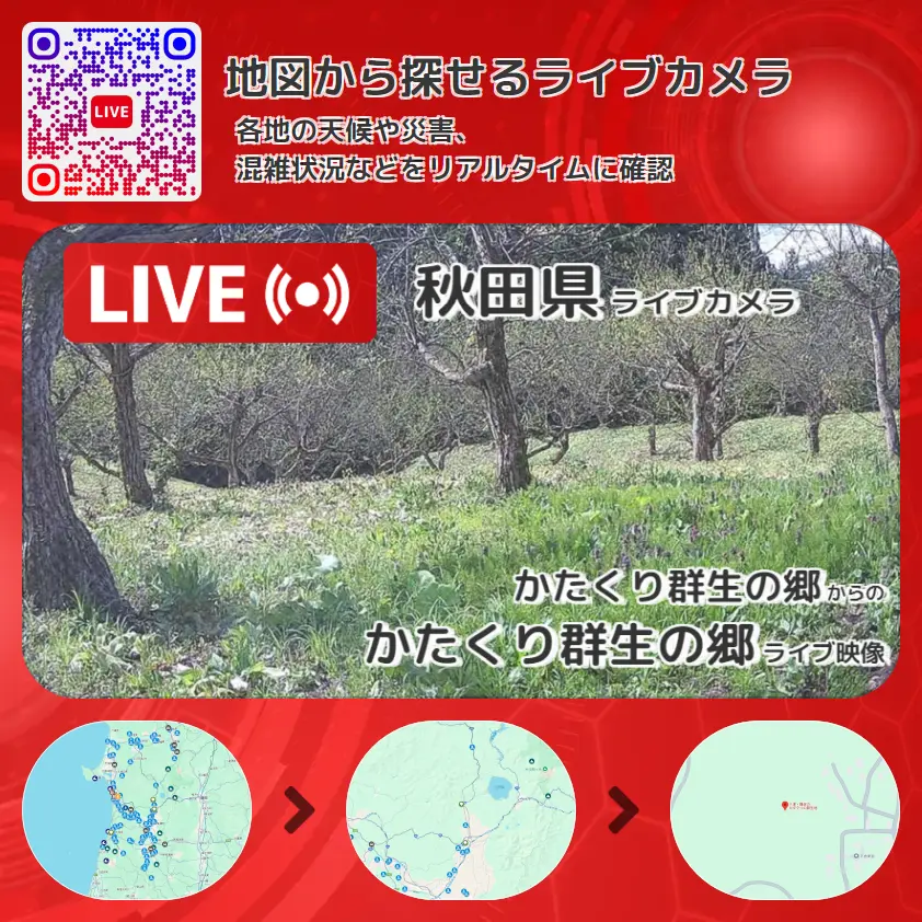 秋田県 「かたくり群生の郷」ライブ映像（かたくり群生の郷 設置カメラ） ライブカメラ 監視カメラ