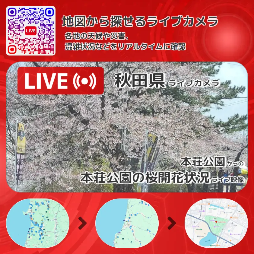 秋田県 「本荘公園の桜開花状況」ライブ映像(本荘公園 設置カメラ) ライブカメラ 監視カメラ