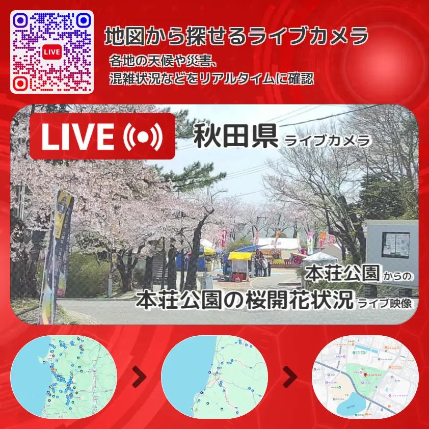 秋田県 「本荘公園の桜開花状況」ライブ映像(本荘公園 設置カメラ) ライブカメラ 監視カメラ