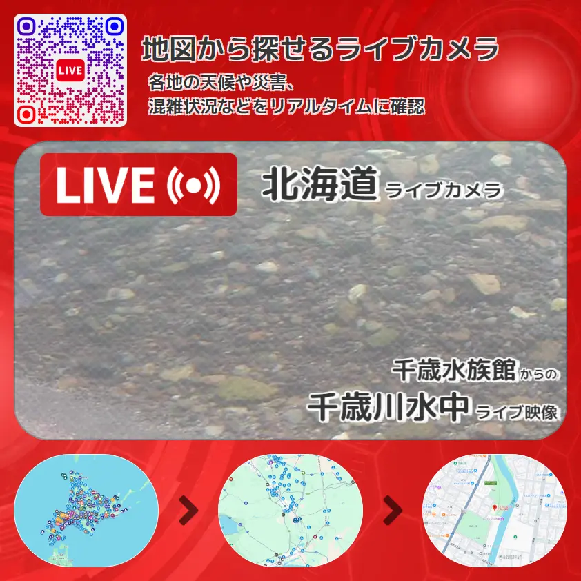 北海道 「千歳川水中」ライブ映像(千歳水族館 設置カメラ) ライブカメラ 監視カメラ
