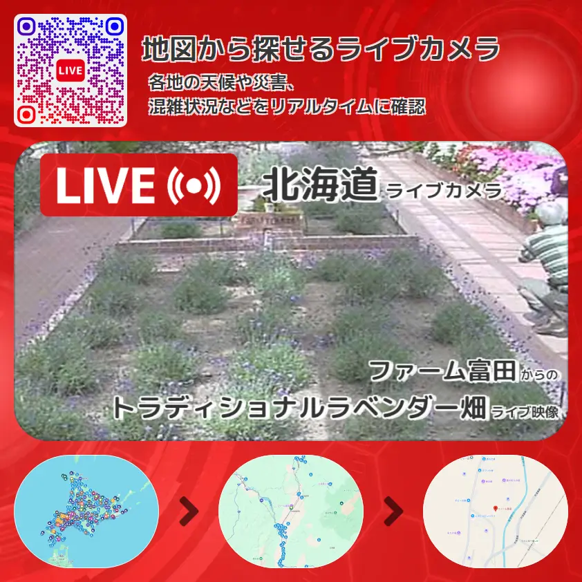 北海道 「トラディショナルラベンダー畑」ライブ映像(ファーム富田 設置カメラ) ライブカメラ 監視カメラ
