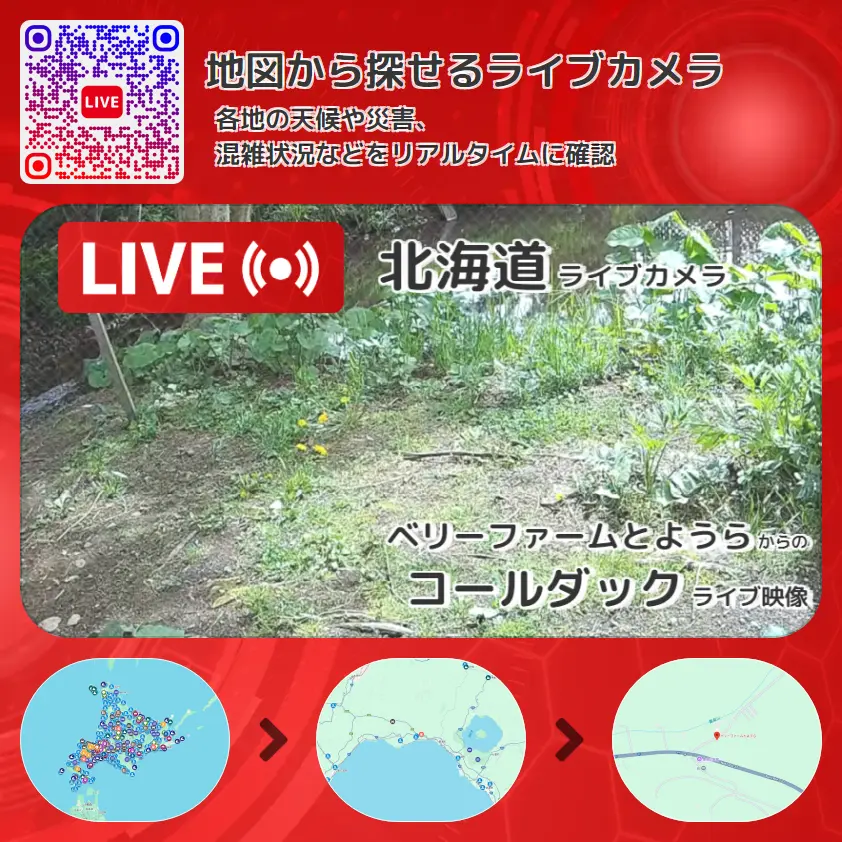 北海道 「コールダック」ライブ映像（ベリーファームとようら 設置カメラ） ライブカメラ 監視カメラ