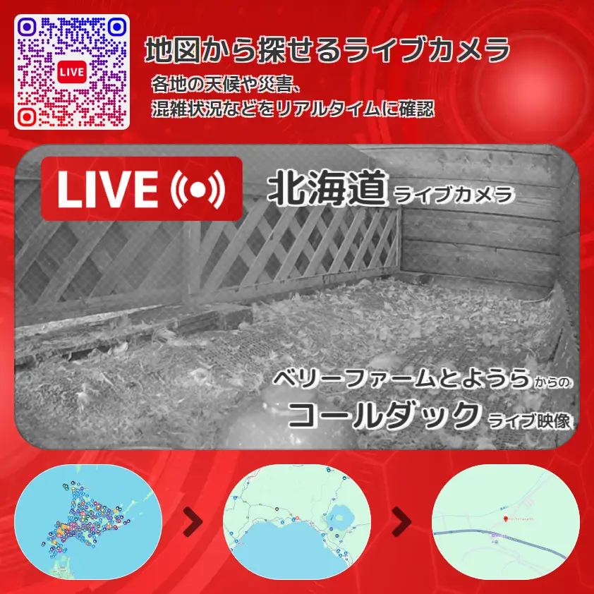 北海道 「コールダック」ライブ映像(ベリーファームとようら 設置カメラ) ライブカメラ 監視カメラ
