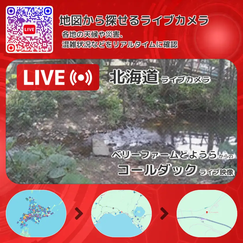 北海道 「コールダック」ライブ映像（ベリーファームとようら 設置カメラ） ライブカメラ 監視カメラ