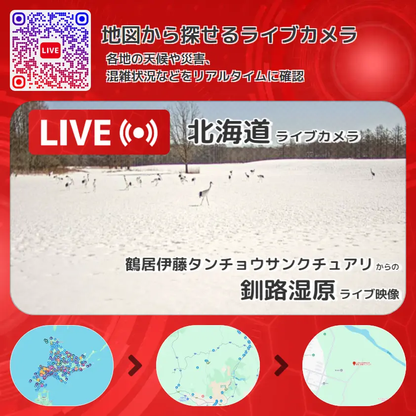 北海道 「釧路湿原」ライブ映像(鶴居伊藤タンチョウサンクチュアリ 設置カメラ) ライブカメラ 監視カメラ