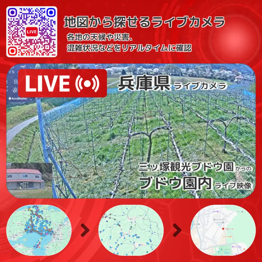 兵庫県 「ブドウ園内」ライブ映像（三ッ塚観光ブドウ園 設置カメラ） ライブカメラ 監視カメラ