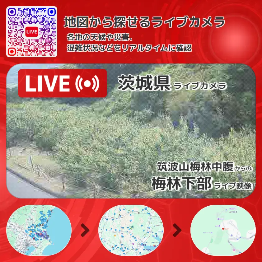 茨城県 「梅林下部」ライブ映像（筑波山梅林中腹 設置カメラ） ライブカメラ 監視カメラ