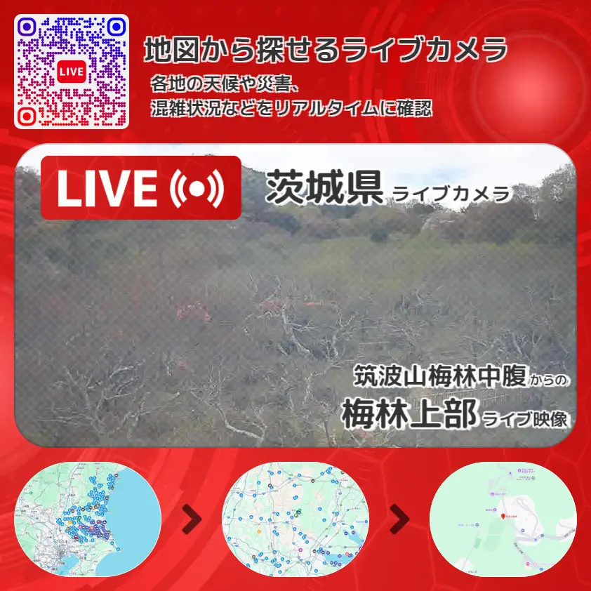 茨城県 「梅林上部」ライブ映像（筑波山梅林中腹 設置カメラ） ライブカメラ 監視カメラ