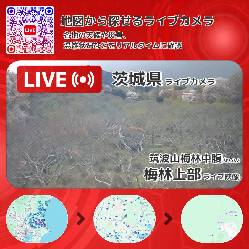 茨城県 「梅林上部」ライブ映像（筑波山梅林中腹 設置カメラ） ライブカメラ 監視カメラ