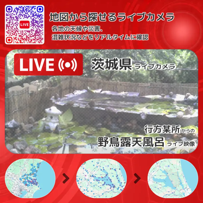 茨城県 「野鳥露天風呂」ライブ映像（行方某所 設置カメラ） ライブカメラ 監視カメラ