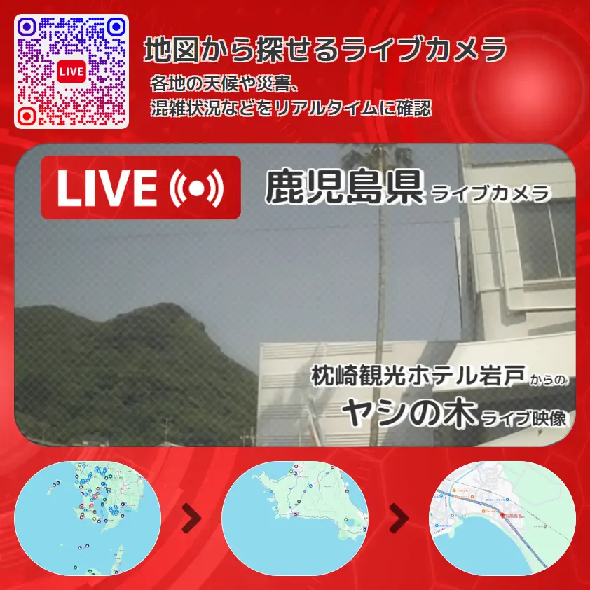 鹿児島県 「ヤシの木」ライブ映像(枕崎観光ホテル岩戸 設置カメラ) ライブカメラ 監視カメラ
