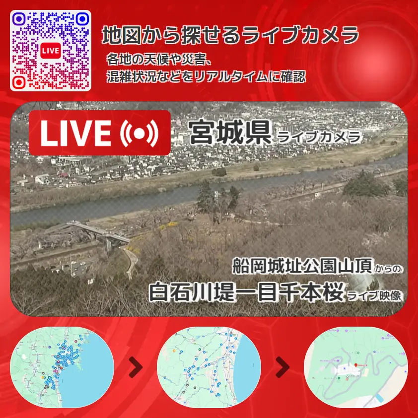 宮城県 「白石川堤一目千本桜」ライブ映像(船岡城址公園山頂 設置カメラ) ライブカメラ 監視カメラ