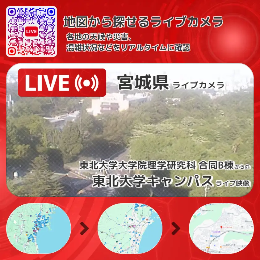 宮城県 「東北大学キャンパス」ライブ映像（東北大学大学院理学研究科 合同B棟 設置カメラ） ライブカメラ 監視カメラ