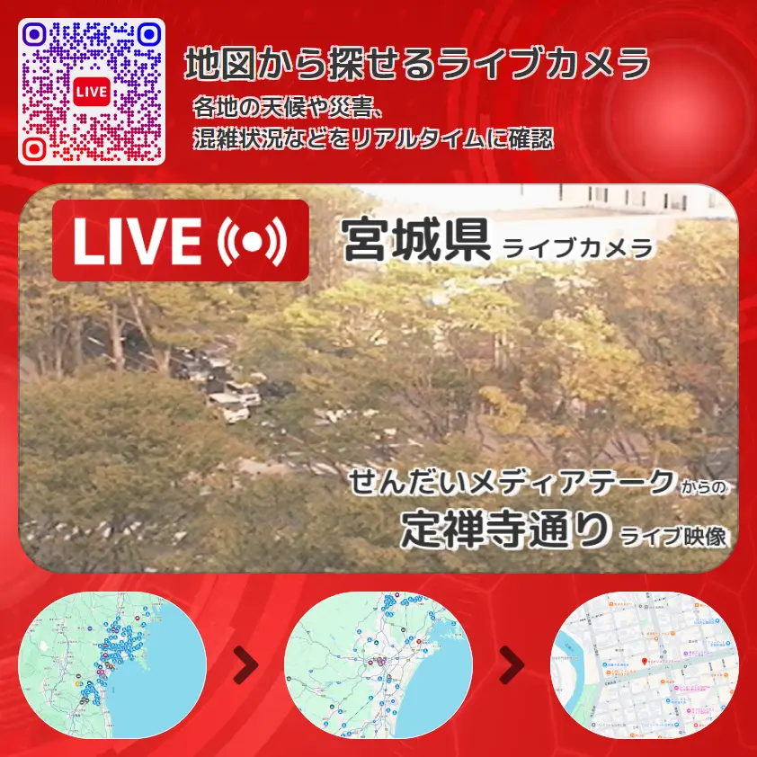 宮城県 「定禅寺通り」ライブ映像(せんだいメディアテーク 設置カメラ) ライブカメラ 監視カメラ