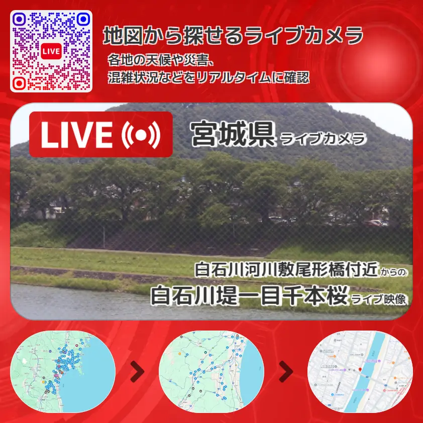 宮城県 「白石川堤一目千本桜」ライブ映像(白石川河川敷尾形橋付近 設置カメラ) ライブカメラ 監視カメラ