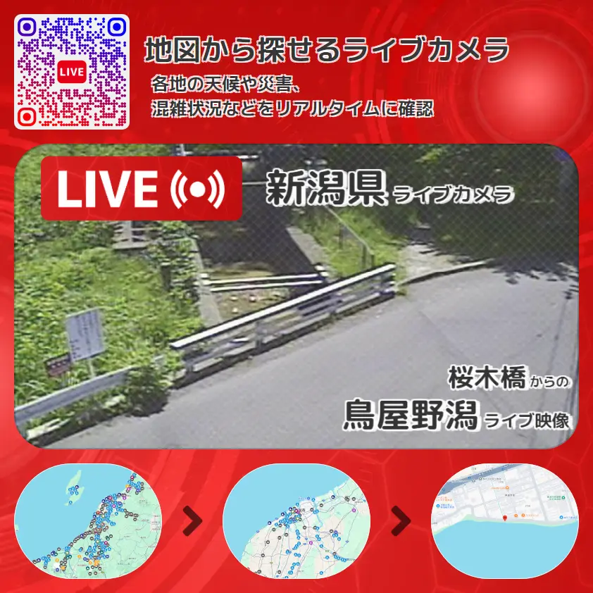 新潟県 「鳥屋野潟」ライブ映像(桜木橋 設置カメラ) ライブカメラ 監視カメラ