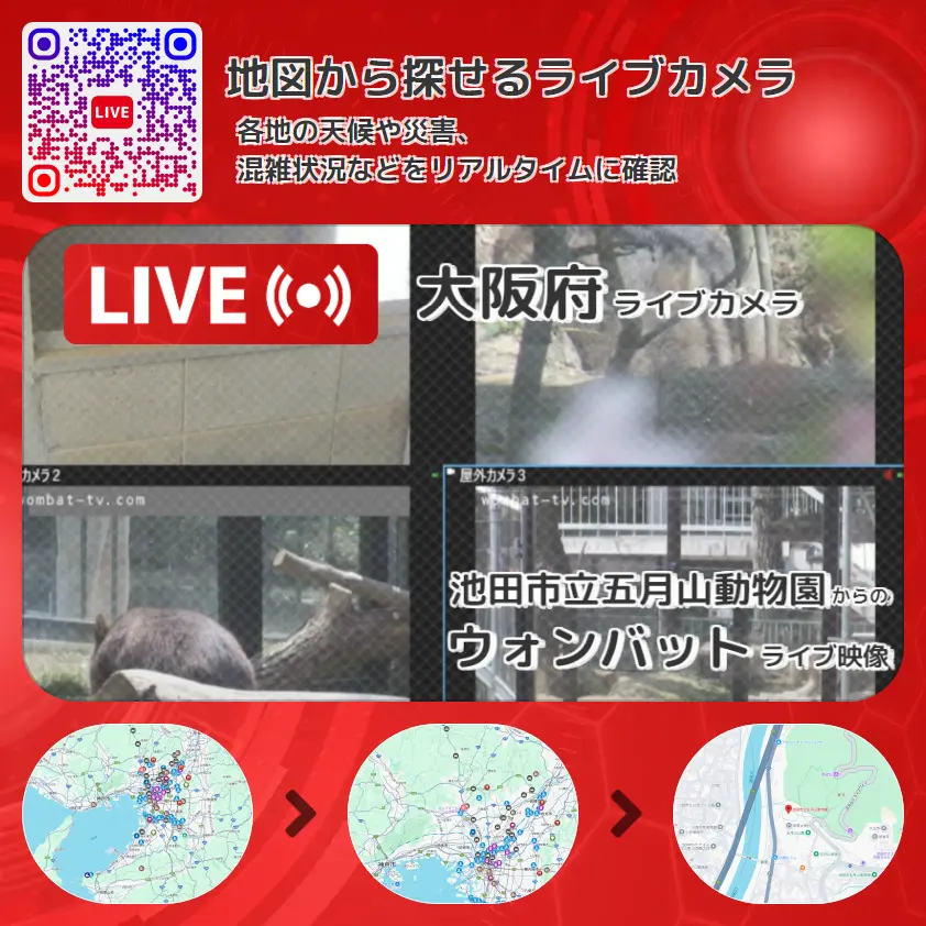 大阪府 「ウォンバット」ライブ映像(池田市立五月山動物園 設置カメラ) ライブカメラ 監視カメラ
