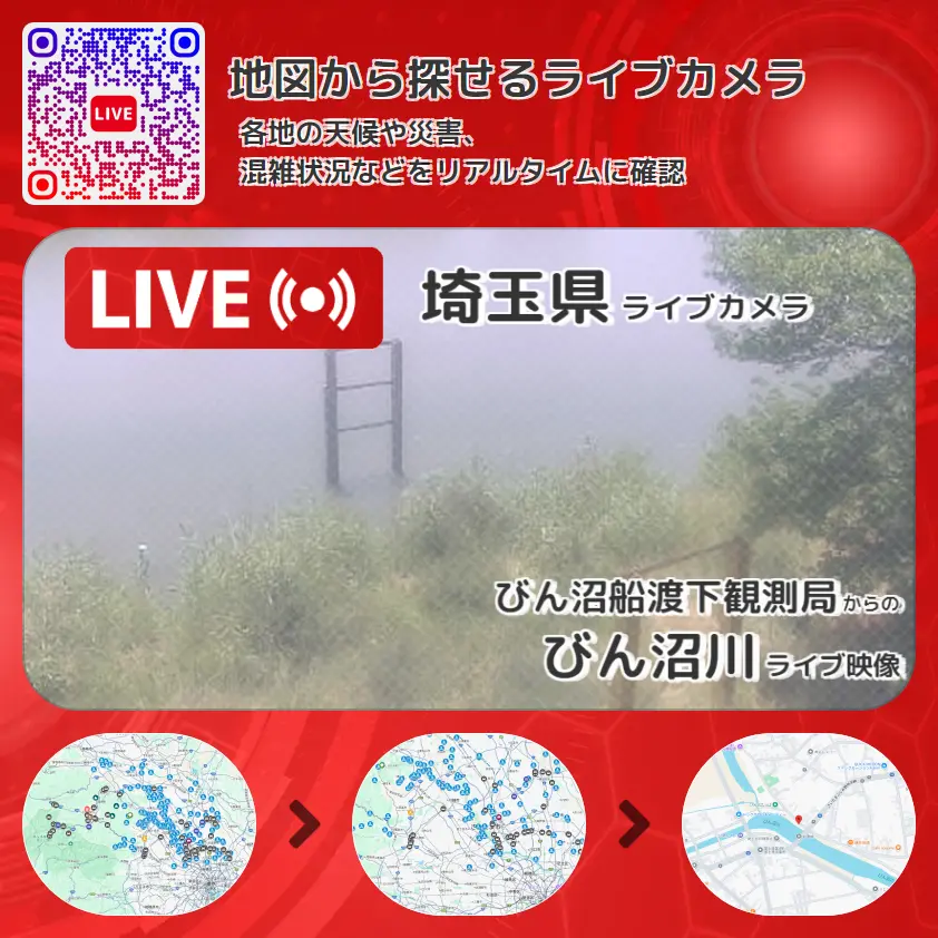 埼玉県 「びん沼川」ライブ映像(びん沼船渡下観測局 設置カメラ) ライブカメラ 監視カメラ