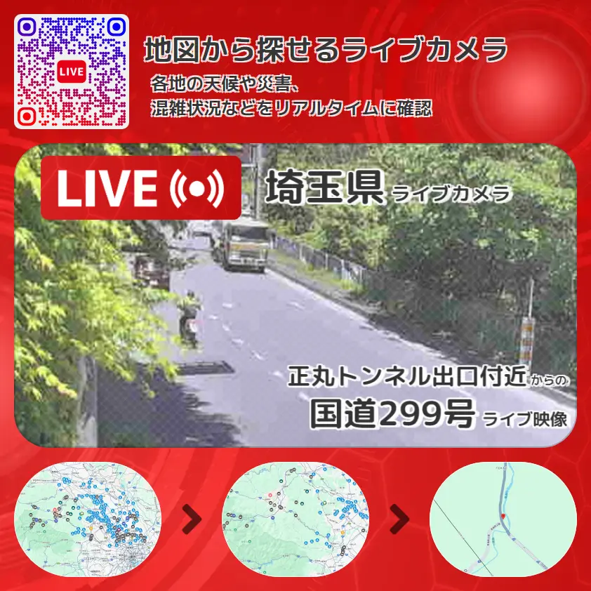 埼玉県 「国道299号」ライブ映像(正丸トンネル出口付近 設置カメラ) ライブカメラ 監視カメラ