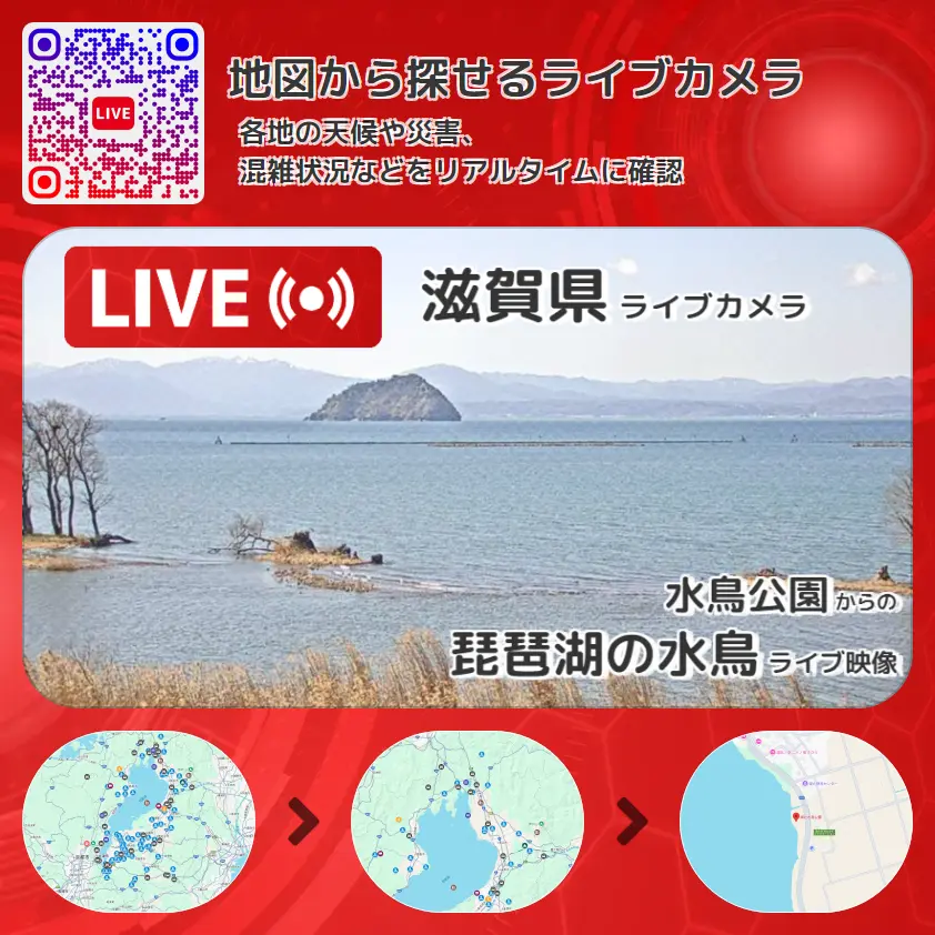 滋賀県 「琵琶湖の水鳥」ライブ映像(水鳥公園 設置カメラ) ライブカメラ 監視カメラ