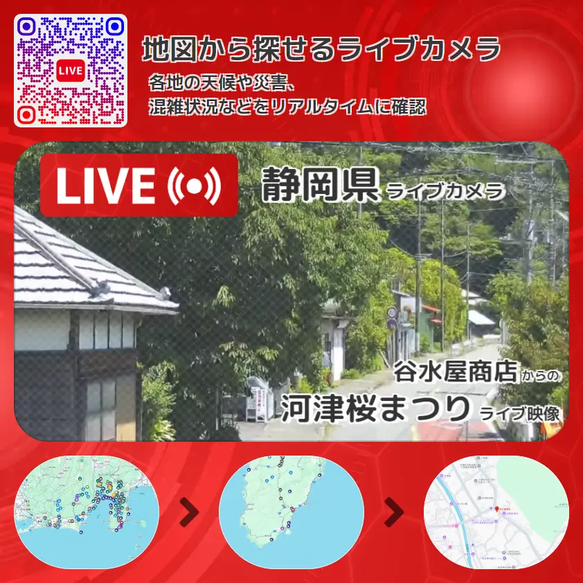 静岡県 「河津桜まつり」ライブ映像(谷水屋商店 設置カメラ) ライブカメラ 監視カメラ