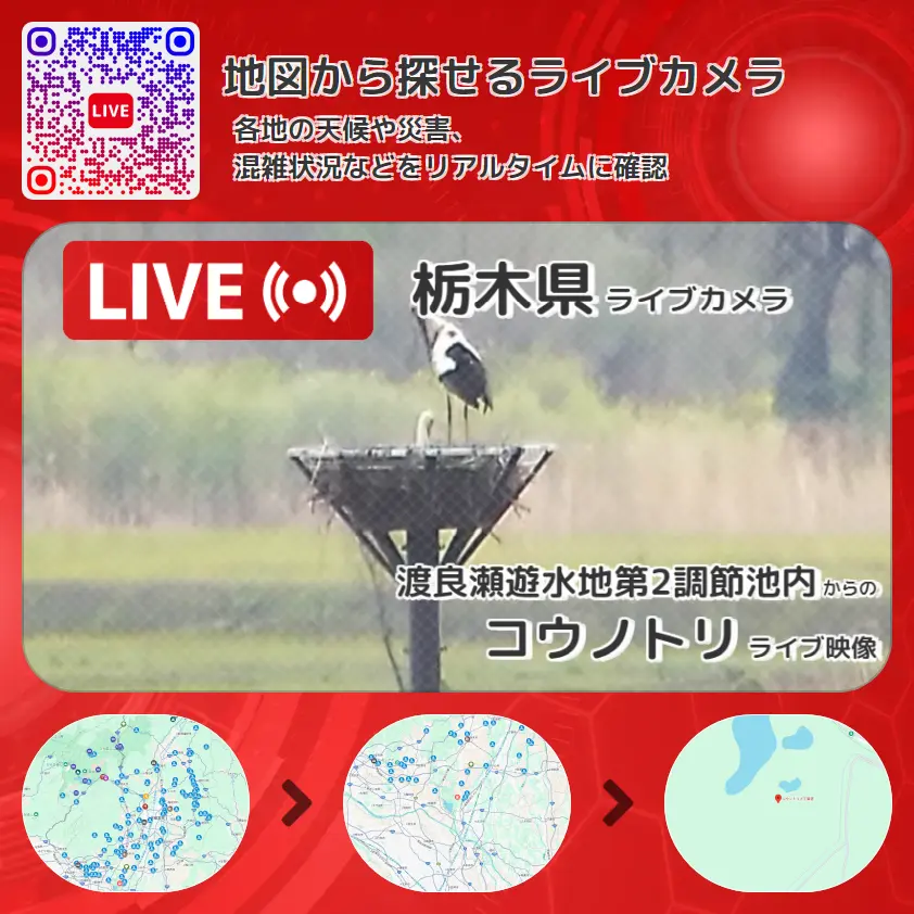栃木県 「コウノトリ」ライブ映像（渡良瀬遊水地第2調節池内 設置カメラ） ライブカメラ 監視カメラ