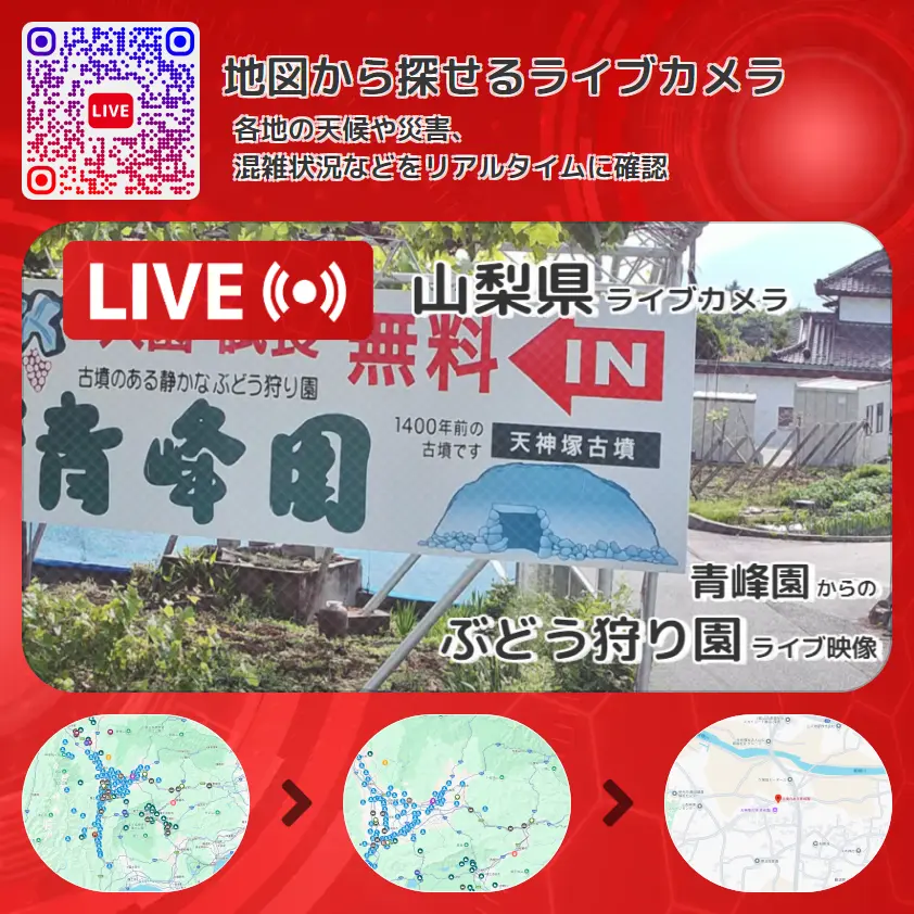 山梨県 「ぶどう狩り園」ライブ映像（青峰園 設置カメラ） ライブカメラ 監視カメラ